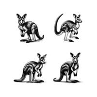 ensemble de kangourou illustration. main tiré kangourou noir et blanc illustration. isolé blanc Contexte vecteur