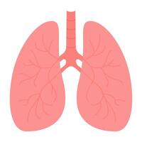 en bonne santé poumons ne pas endommagé par fumeur vecteur