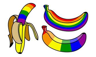 une ensemble de bananes coloré dans une arc-en-ciel. isolé des fruits avec contour et couleur. un ouvert et fermé banane dans différent pose. un lgbt signe. adapté pour site Internet, Blog, produit emballage et plus vecteur