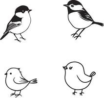 noir et blanc dessin de des oiseaux contour vecteur