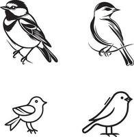 noir et blanc dessin de des oiseaux contour vecteur