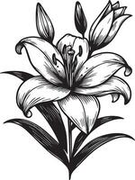 mai naissance fleur dessin lis de le vallée, ancien main tiré naissance mois fleurs, lis de le vallée fleur, mai la magie floral illustration, vert les plantes dessins vecteur