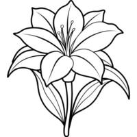 amaryllis fleur contour illustration coloration livre page conception, amaryllis fleur noir et blanc ligne art dessin coloration livre pages pour les enfants et adultes vecteur