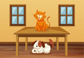 Chat et chien dans la chambre vecteur