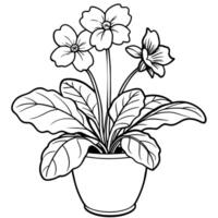 primevère fleur contour illustration coloration livre page conception vecteur
