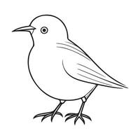 mignonne oiseau illustration noir et blanc dessin animé personnage conception collection. blanc Contexte. animaux domestiques, animaux. vecteur