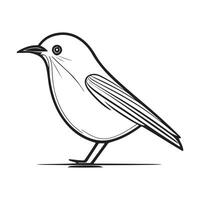 mignonne oiseau illustration noir et blanc dessin animé personnage conception collection. blanc Contexte. animaux domestiques, animaux. vecteur