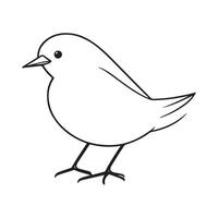 mignonne oiseau illustration noir et blanc dessin animé personnage conception collection. blanc Contexte. animaux domestiques, animaux. vecteur