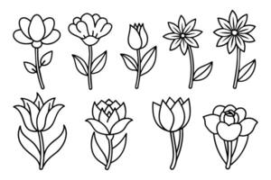 illustration avec fleurs tulipes contour style conception vecteur