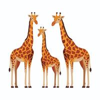 mignonne girafe animal isolé plat illustration blanc Contexte vecteur