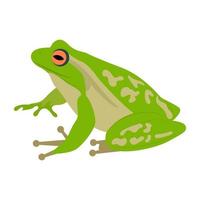 concepts de grenouille à la mode vecteur