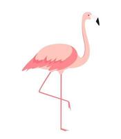 Flamant rose de dessin animé coloré sur une jambe se dresse sur fond blanc. illustration vectorielle vecteur