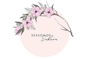 printemps Cerise fleur Sakura Floraison floral vecteur