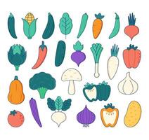 des légumes illustration ensemble. une coloré collection de divers légumes, comprenant carottes, tomates, brocoli, poivrons et beaucoup plus vecteur