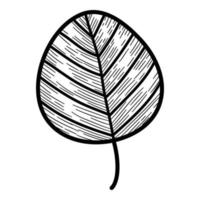icône de feuille d'arbre rond de noël, dessinés à la main et style de contour vecteur
