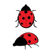 coccinelle illustration conception. magnifique coccinelle signe et symbole. vecteur