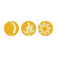 agriculture blé logo modèle et symbole vecteur