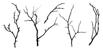 arbre de branche noire ou silhouettes d'arbres nus. illustrations isolées dessinées à la main. vecteur