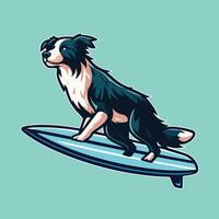 chien en jouant planches de surf - frontière colley chien surfant illustration vecteur