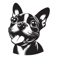 chien logo - une espiègle Boston terrier chien visage illustration dans noir et blanc vecteur