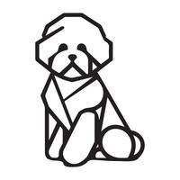 polygonal chien contour - géométrique bichon frise chien illustration dans noir et blanc vecteur