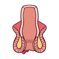 externe les hémorroïdes illustration vecteur