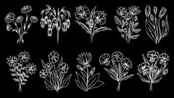 fleurs de contour blanc sur fond noir. fleurs d'art en ligne, ensemble floral linéaire. ensemble d'illustrations de fleurs fines. vecteur