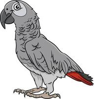 illustration de dessin animé de personnage animal perroquet gris oiseau vecteur