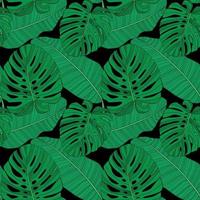 abstrait feuille de palmier tropical sans soudure de fond. illustration vectorielle vecteur
