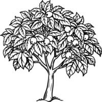 goyave arbre coloration pages. arbre contour pour coloration livre vecteur