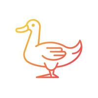 icône de vecteur linéaire dégradé de canard domestique. l'industrie de l'aviculture. élevage d'oiseaux domestiques pour la viande, les œufs et le duvet. symbole de couleur de ligne mince. pictogramme de style moderne. dessin de contour isolé de vecteur