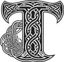 lettre avec celtique ornement isolé sur blanc Contexte vecteur