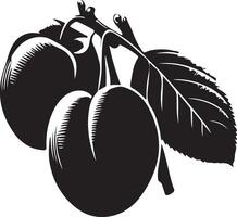 prune prune, fruit silhouette, noir Couleur silhouette vecteur