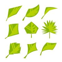 une ensemble de images de feuilles dans une mignonne dessin animé plat style. vecteur
