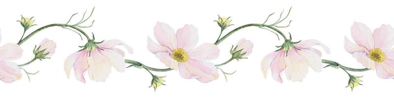 cosmos fleurs et feuilles. isolé main tiré aquarelle sans couture frontière de rose fleurs sauvages. été floral bannière pour mariage faire-part, cartes, emballage de des biens vecteur