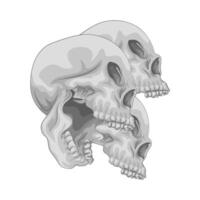 illustration du crâne vecteur