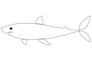 un continu Célibataire ligne art dessin de requin mer poisson sous-marin contour minimaliste illustration vecteur