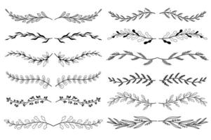 floral ornement séparateurs ensemble dans main tiré conception. feuilles et brindilles gravure éléments. paquet de botanique ornements parchemins décoration et décoratif branche. illustration isolé collection vecteur