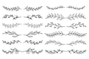 floral ornement séparateurs ensemble dans main tiré conception. feuilles et arbre branches éléments. paquet de botanique ornements parchemins décoration et décoratif branche. illustration isolé collection vecteur