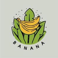 banane avec illustration de feuille vintage dessinés à la main vecteur