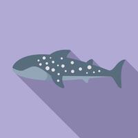 plat conception illustration de une baleine requin vecteur