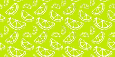 citron vert - modèle sans couture de vecteur. agrumes - illustration couleur vecteur