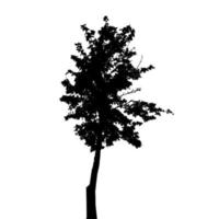 silhouette d'arbre isolé sur fond blanc. illustration vectorielle. vecteur