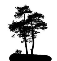 silhouette d'arbre isolé sur fond blanc. illustration vectorielle vecteur