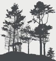 image de la nature. silhouette d'arbre. illustration vectorielle vecteur