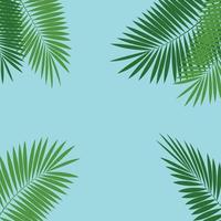 illustration de fond de vecteur de feuille de palmier