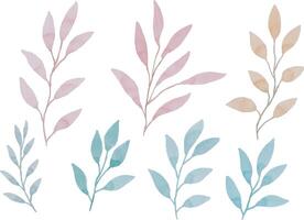 assortiment de aquarelle feuilles illustration ensemble - vert feuille branches collection pour mariage, salutations, Stationnaire, fonds d'écran, mode, Contexte. olive, vert feuilles, eucalyptus etc vecteur