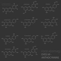 anthocyanes moléculaire squelettique chimique formule vecteur