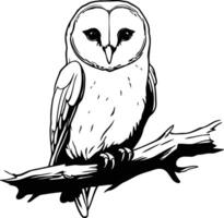 illustration de une Grange hibou séance sur une branche. vecteur