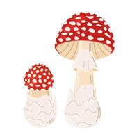 mouche agaric rouge poison champignons. gros et petit champignon main tiré amanite muscaria. hallucinogène, psychédélique forêt champignon. branché plat style la magie champignon isolé sur blanc illustration vecteur